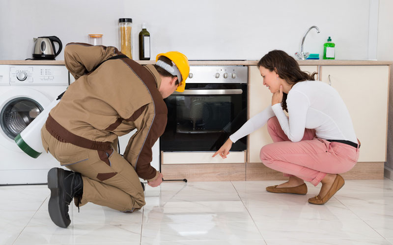 A man and woman are engaged in cleaning their kitchen as part of pest control preparations.