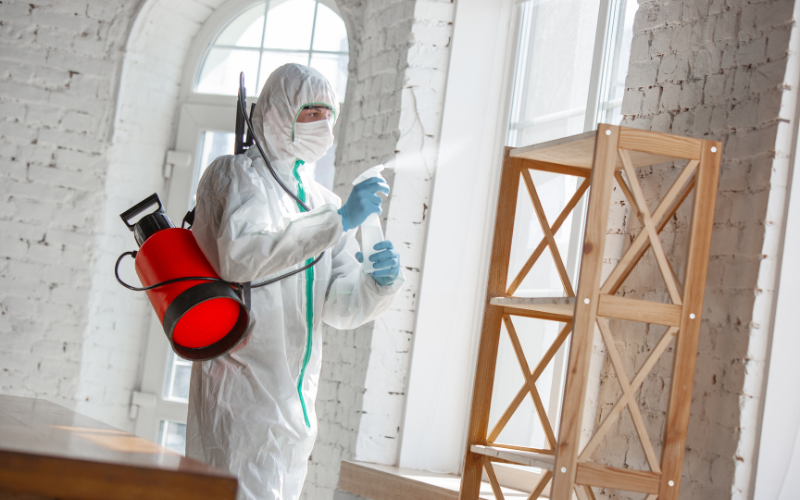 A pest control expert in a white suit sprays a room, working diligently to eradicate pests in New York.