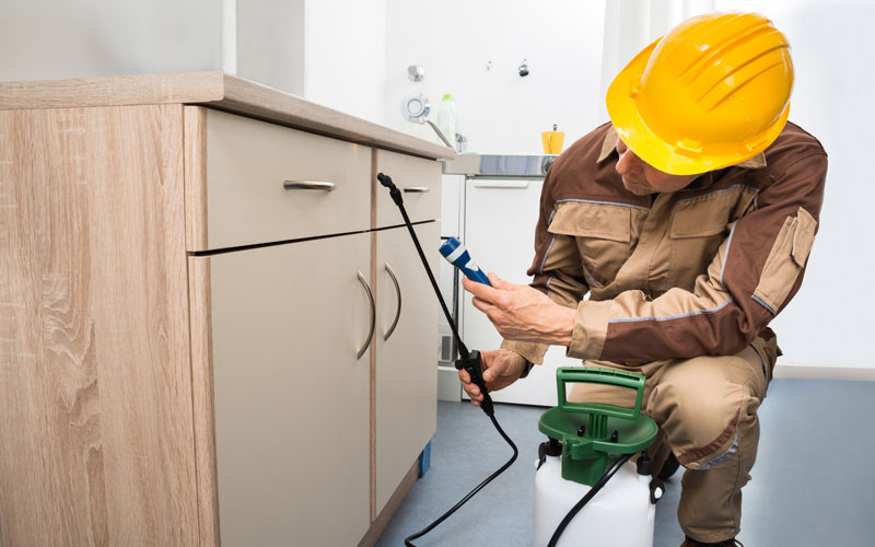 A man wearing a hard hat and overalls sprays a cabinet for pest control, representing Pro Exterminating in New York.