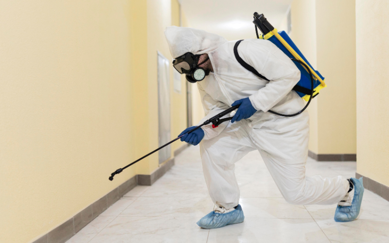 A pest control professional in a white suit and mask sprays a room to eliminate pests in New York.