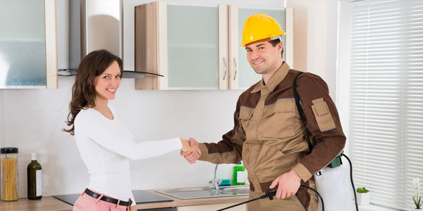 A man and woman in a kitchen shaking hands, representing teamwork in addressing pest control solutions.